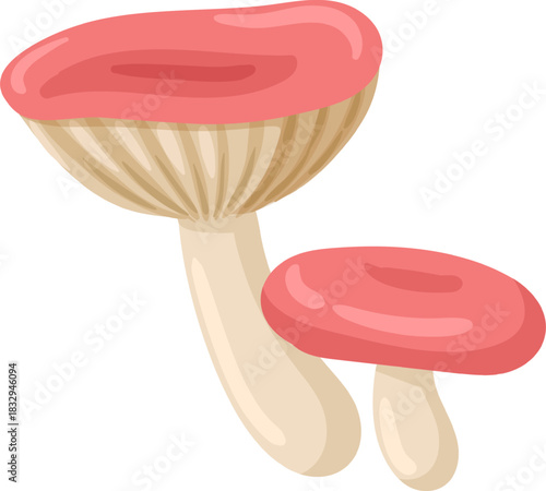 Pair of wild mushrooms with pink caps growing