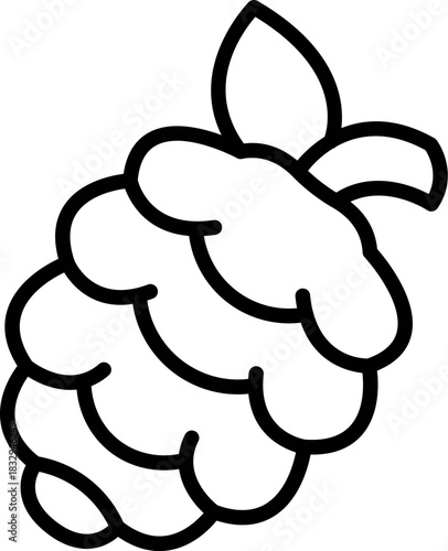 Line art illustration of a raspberry with leaf, symbolizing freshness and natural sweetness