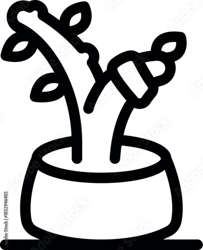 Gardener taking care of a growing plant, watering it with a hose