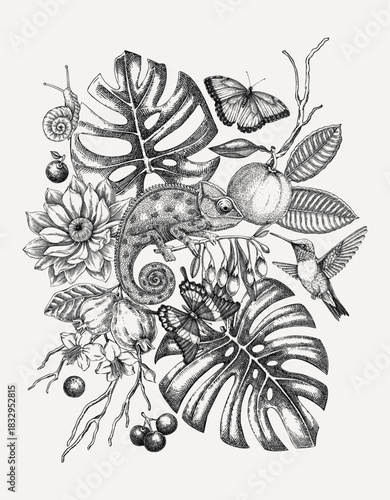 Tropical design in sketch style. Exotic flowers, birds, fruits, and animal hand-drawn vector illustration. Vintage jungle card, poster, print. Not AI generated 