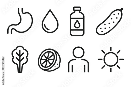 Hydration and Health Icons. Hydration and health concept linear icon set: stomach, droplet, bottle, cucumber, leafy green, lemon, person figure, sun