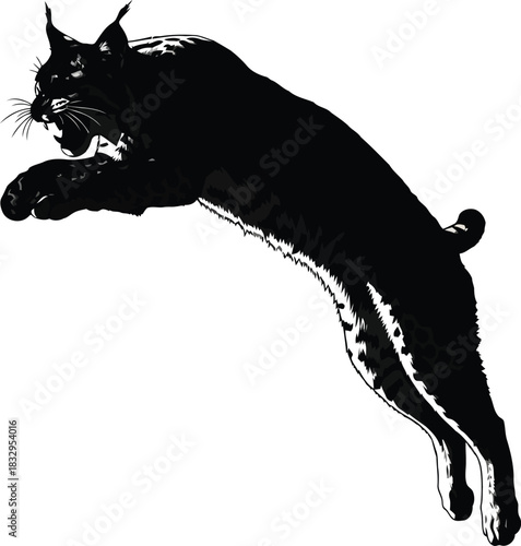 Black lynx jumping action silhouette
