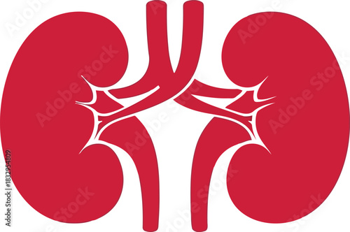 Red human kidney icon vector illustration