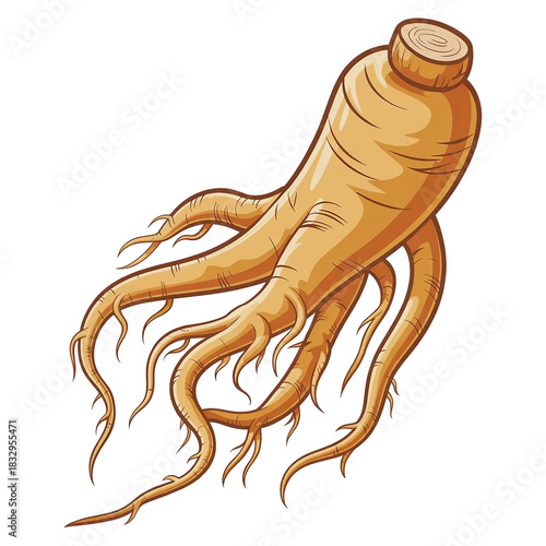 Cartoon Ginseng Root Illustration