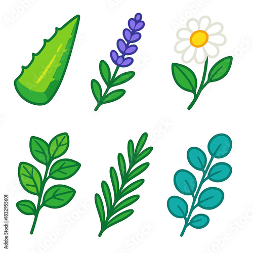 Herbal Icon Set. Natural Sources flat icons set. aloe leaf, lavender sprig, chamomile flower, mint branch, rosemary, eucalyptus