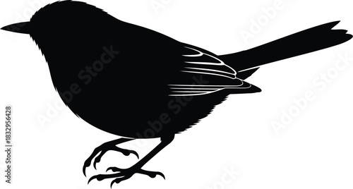 Black silhouette of a small bird standing on white background