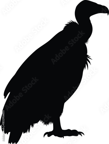 Vulture silhouette icon vector bird