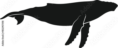Humpback whale silhouette vector illustration