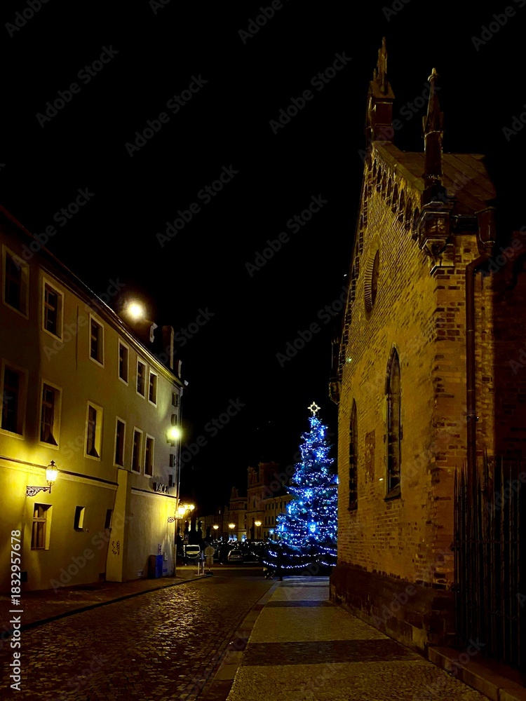 Naklejka premium Cobblestone street in Hradec Kralove, Czech Republic, illuminated at night. A large Christmas tree, decorated with blue lights and a star, stands prominently. A historic brick building with Gothic arc