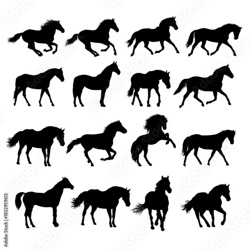 set silhouette of  horse, side view - vector illustration