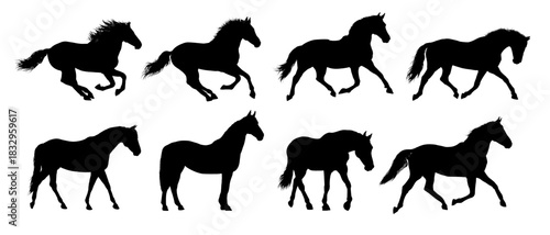 set silhouette of  horse, side view - vector illustration
