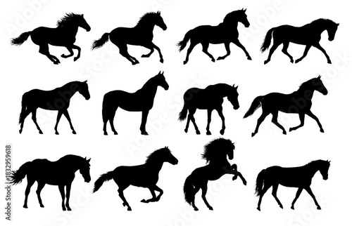 set silhouette of  horse, side view - vector illustration