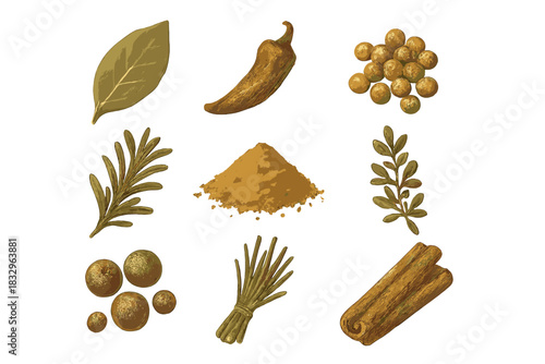 Vibrant collection of spices and herbs showcased in a flat layout on a clean background