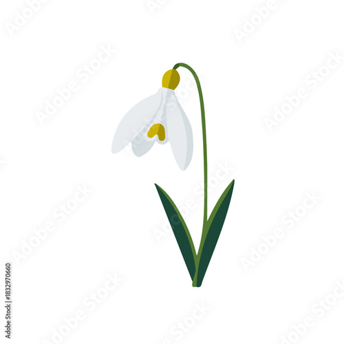 Simple_flat_2D_icon_of_a_snowdrop_flower_isolated_on_a_white background, flat 2D icon, minimal design, simple illustration with EPS format design, An Attractive Minimalist design