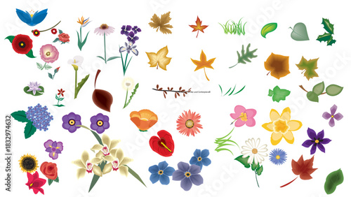 Botanical Elements Collection: An artistic array of diverse flora and foliage, showcasing various types of flowers, leaves, and other plant elements with a focus on color, form.