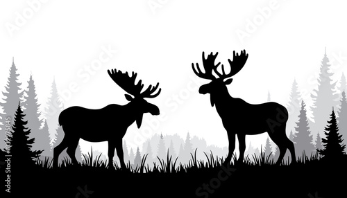 Silhouettes of two moose standing in a forest landscape  