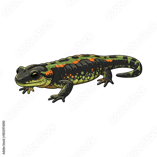 salamander vector with white background