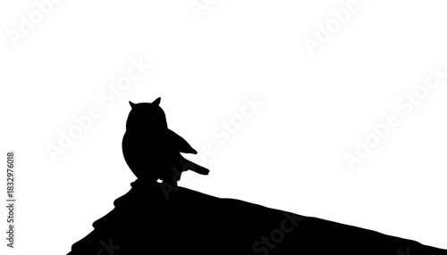 Silhouette of owl perched on rock against plain background  
