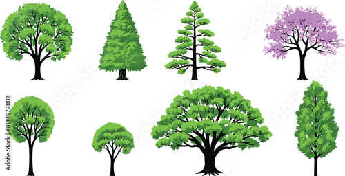 Various Conifer, Deciduous, and Flowering Plant Types for Landscape Architecture and Nature Graphics on White.