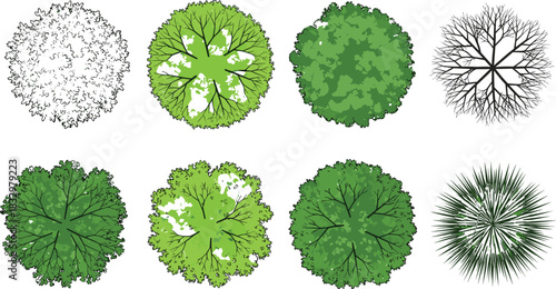 Realistic collection of green deciduous trees and beautiful spring flowering trees, including cherry and magnolia, perfect for natural scene and park design vector illustration.