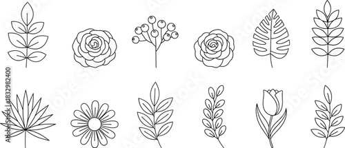 Hand-Drawn Botanical Outline Vector Set, Simple Black and White Line Art Floral Collection Including Leaves, Berries, Rose, Daisy, and Tulip Flowers, Minimalist Decorative Elements.