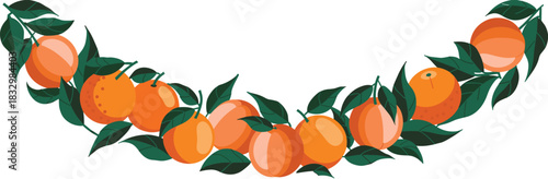 Vibrant Semicircle Orange Fruit Wreath Vector Illustration, Featuring Fresh Citrus, Ripe Oranges, and Dark Green Leaves, Ideal for Summer Design, Invitations, and Natural Product Packaging.