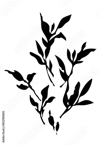 Set of black ink silhouettes showing leafy branches on a white background.