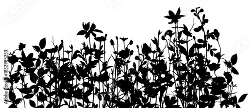 Silhouettes of summer- glade. Black basis for design on white background