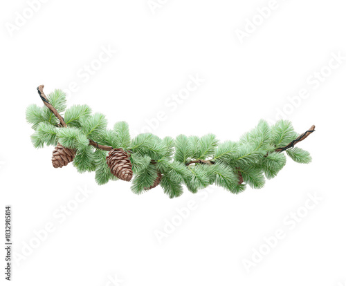 Delicate evergreen branch with natural pinecones, perfect for adding a touch of winter elegance to your seasonal designs and festive holiday projects