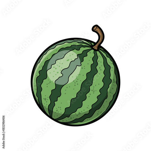 Freshly picked round watermelon illustration, perfect for summer fruit and healthy eating concepts