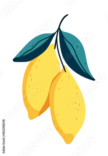 Two yellow lemons hang from a branch with dark teal leaves on a white background.