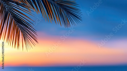 Palm fronds silhouetted against a beautiful sunset sky, with vibrant colors of orange, yellow, and blue.