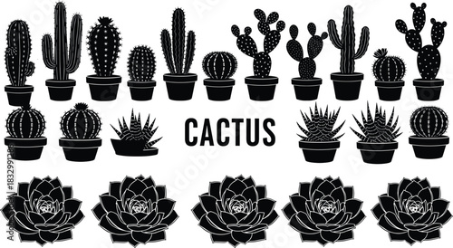 Set of black vector cactus silhouettes in pots, decorative succulent plants collection, desert flora icons, isolated on white background, monochrome botanical illustration.