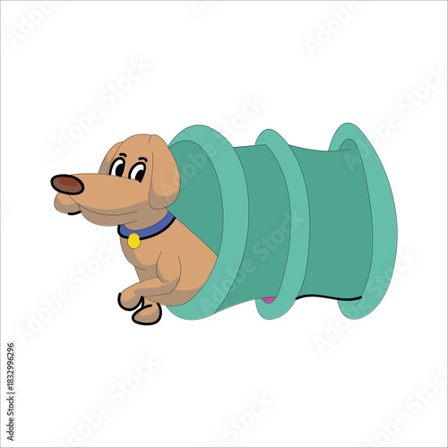 Brown dog running through a green agility tunnel. Concept of dog training and sport