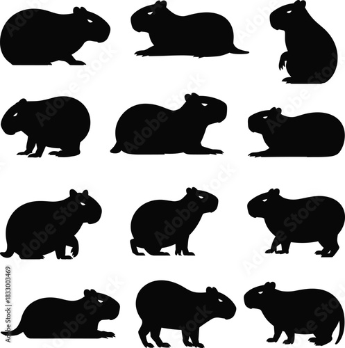 Silhouette collection of capybara poses, diverse rodent shapes, wildlife animal illustrations for design, nature projects, educational materials, and creative artwork