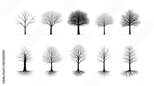 A collection of ten diverse graphic illust ns of bare deciduous trees during winter each featuring prominent root systems and isolated on a white background