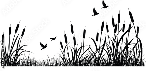Silhouette illustration of wetland ecosystem with cattails, tall grasses, and flying birds for nature and editorial vector content