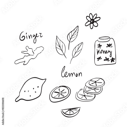 Doodle vector drawings of a lovely tea party. Tea set with honey, lemon, ginger and tea leaves.