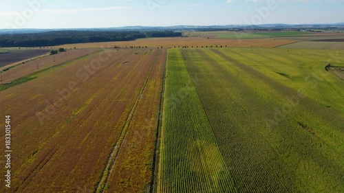 rural landscape with fields
