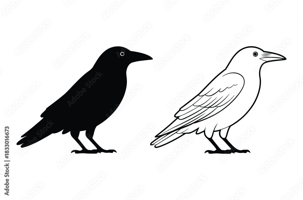 Obraz premium Crow or Raven Bird Silhouette: Black, Line Art, and Wild Bird Vector Graphic