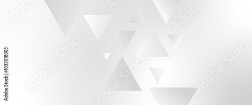 Abstract elegant triangle. White silver grey geometric universal background. modern design background with geometric shape. abstract graphic design banner pattern background template. Vector .	