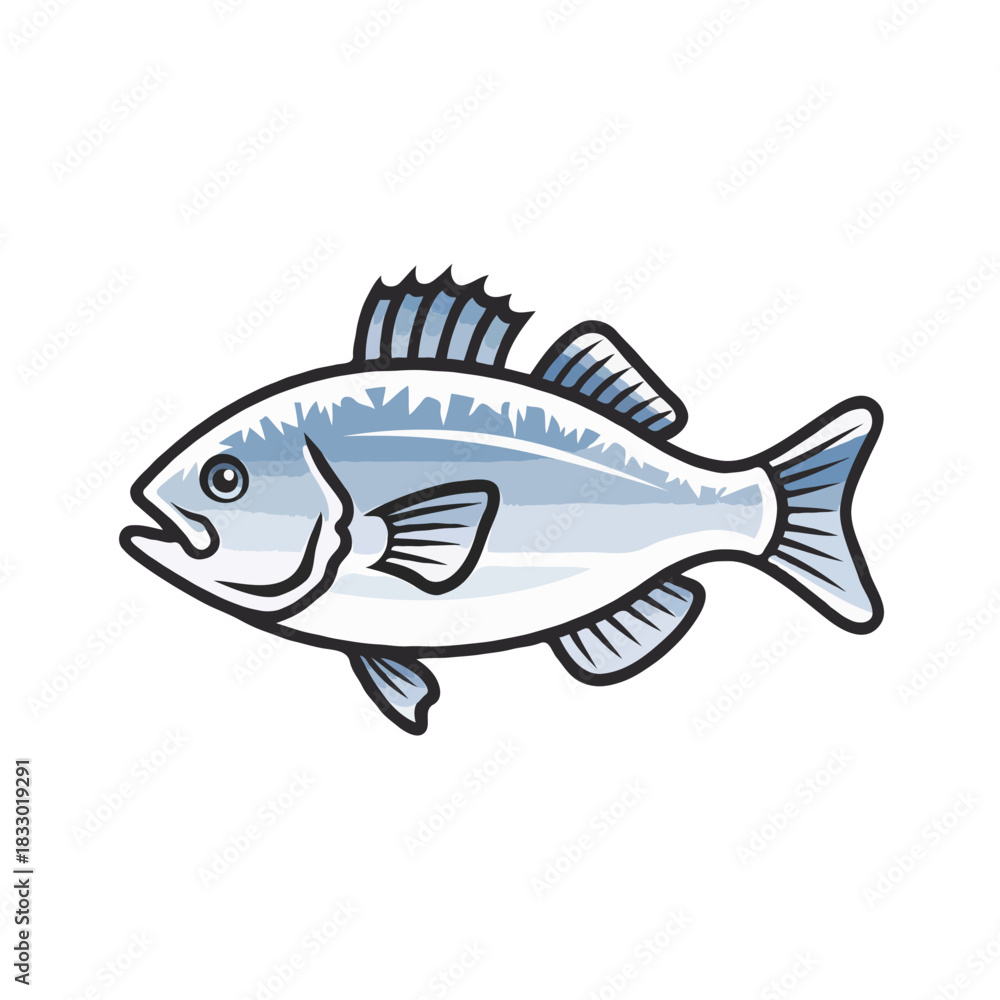 Fototapeta premium Illustration of a single silver fish with fins and tail clearly defined swimming horizontally isolated on white background