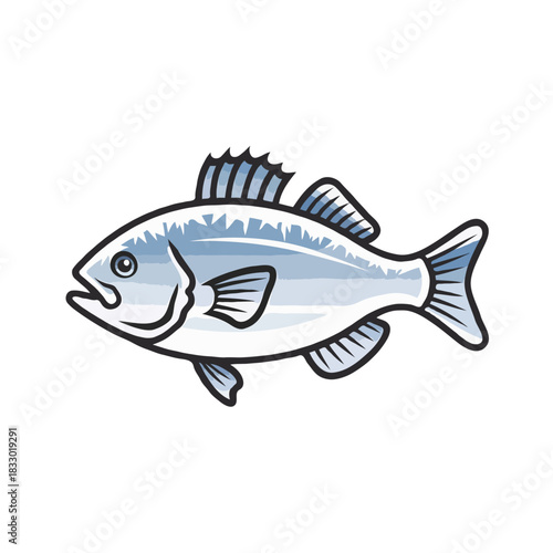 Illustration of a single silver fish with fins and tail clearly defined swimming horizontally isolated on white background