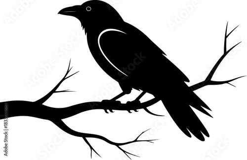 A raven sitting on a bare tree branch silhouette vector illustration