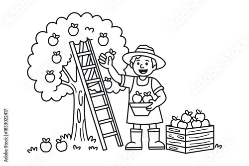 A person picking apples from a tree using a ladder with a basket and crate