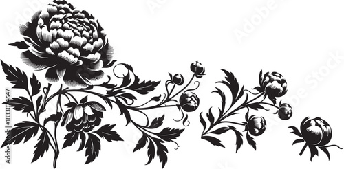 Set of peony flowers and buds on a branch, silhouette vector illustration.