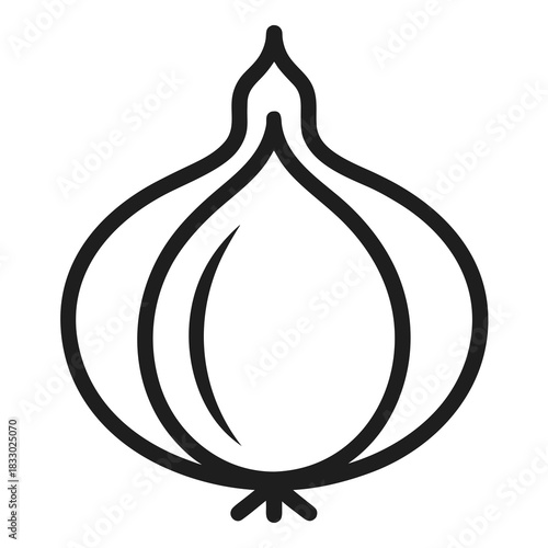 vector illustration of onion