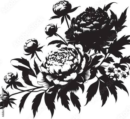 Set of peony flowers and buds on a branch, silhouette vector illustration.