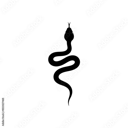 Silhouette of a cobra snake isolated on transparent background