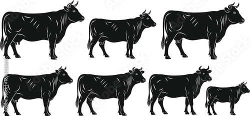 Cow silhouette set, female cows, grazing pose, calf icon, livestock vector, farm animal graphic, black design, nature illustration